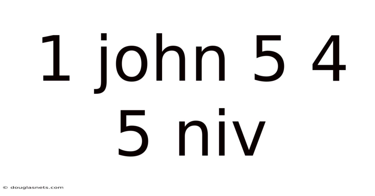 1 John 5 4 5 Niv