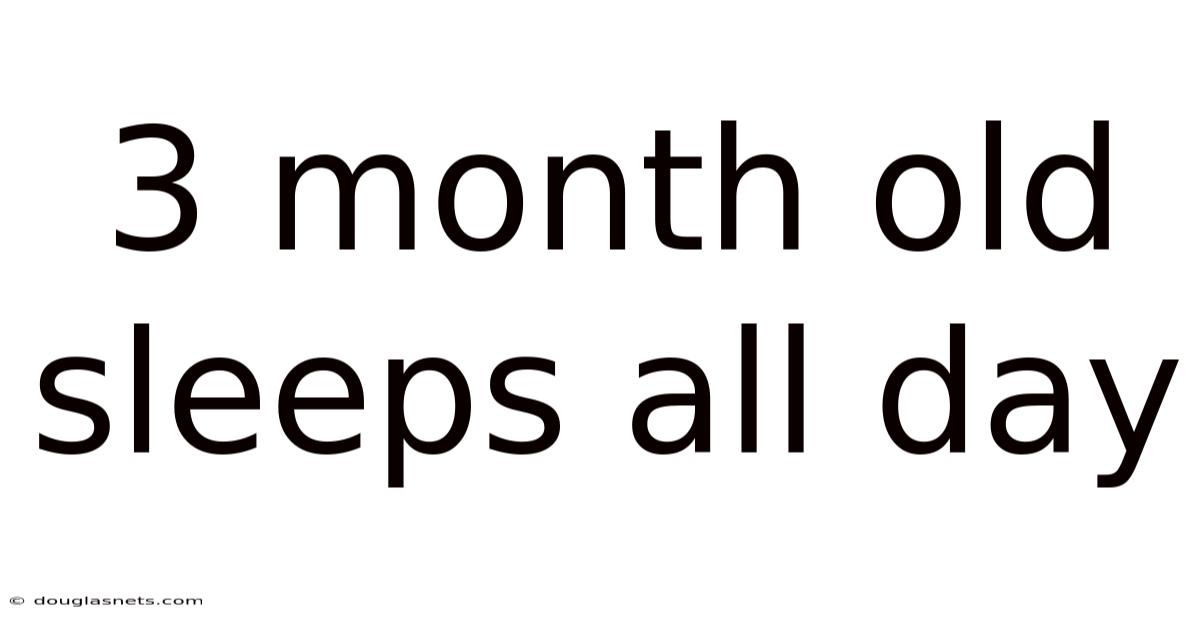 3 Month Old Sleeps All Day