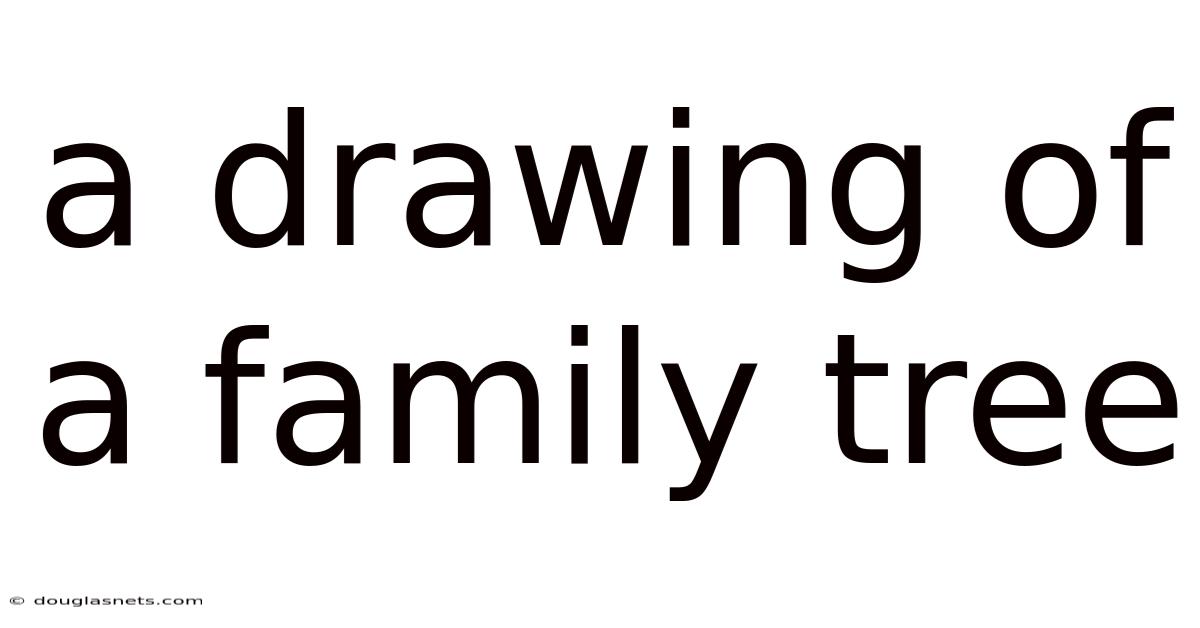 A Drawing Of A Family Tree