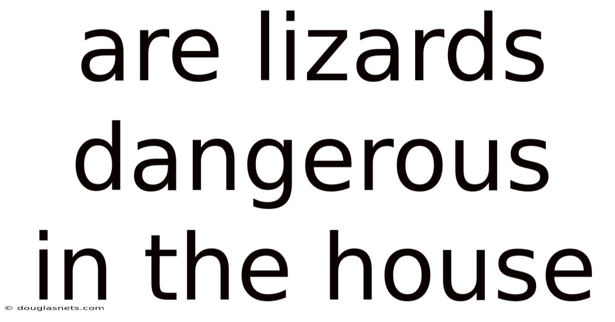 Are Lizards Dangerous In The House