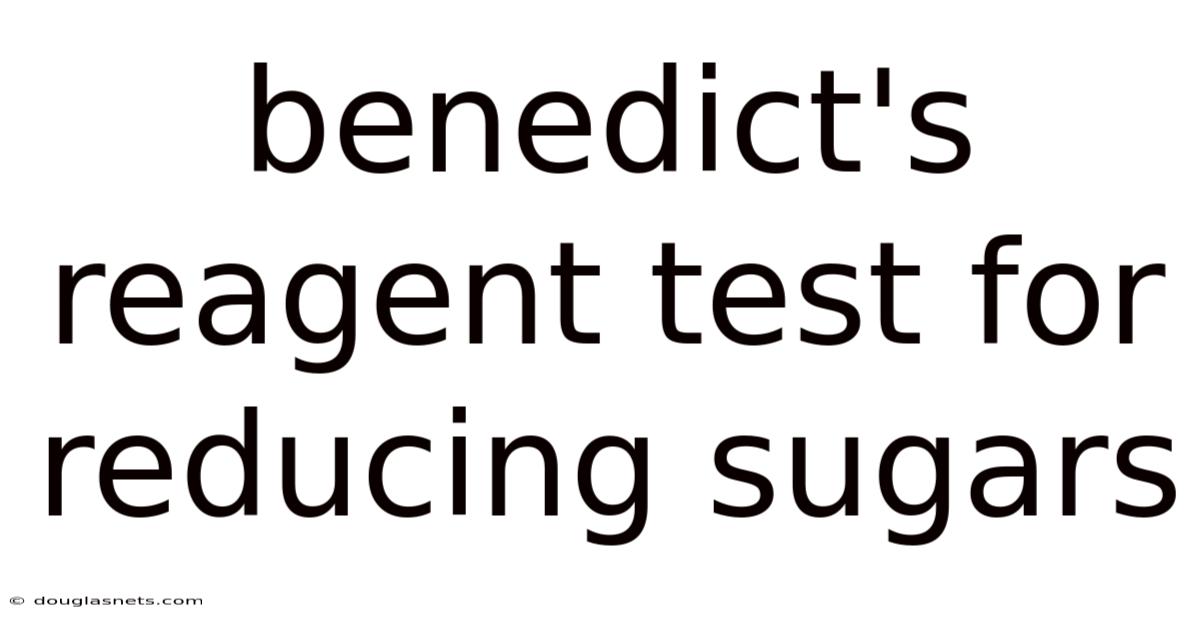Benedict's Reagent Test For Reducing Sugars