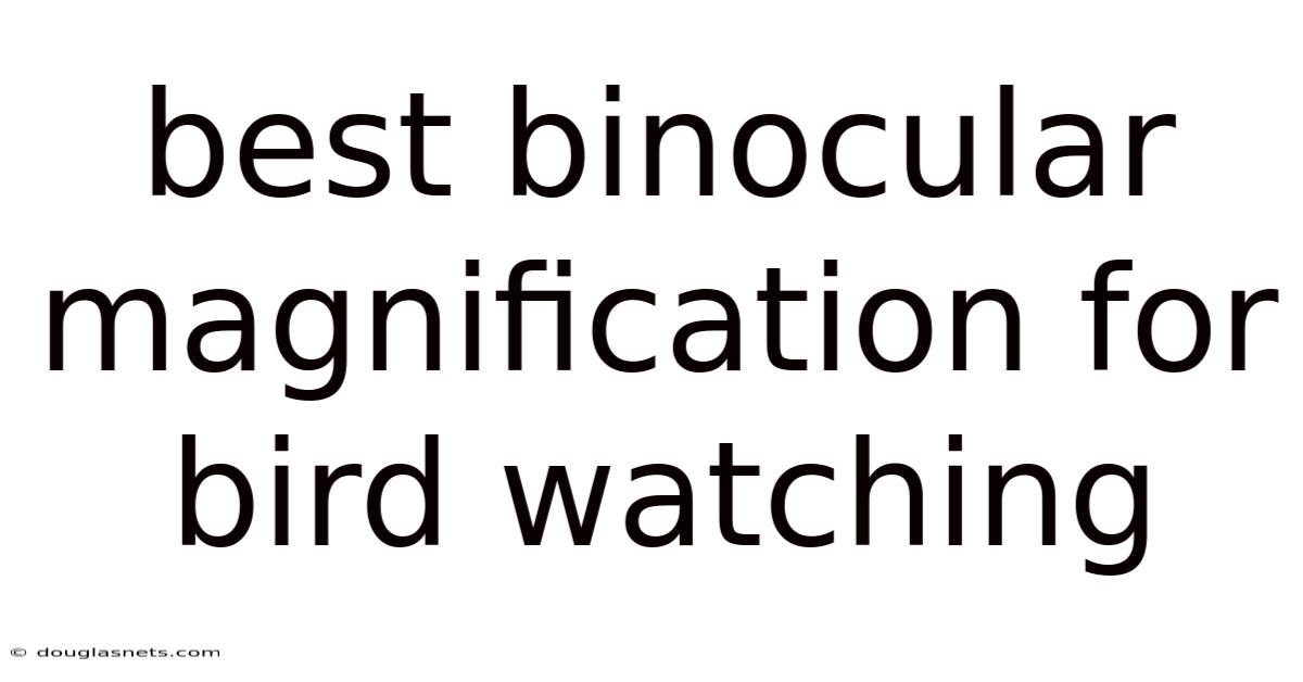 Best Binocular Magnification For Bird Watching