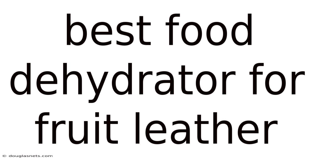 Best Food Dehydrator For Fruit Leather