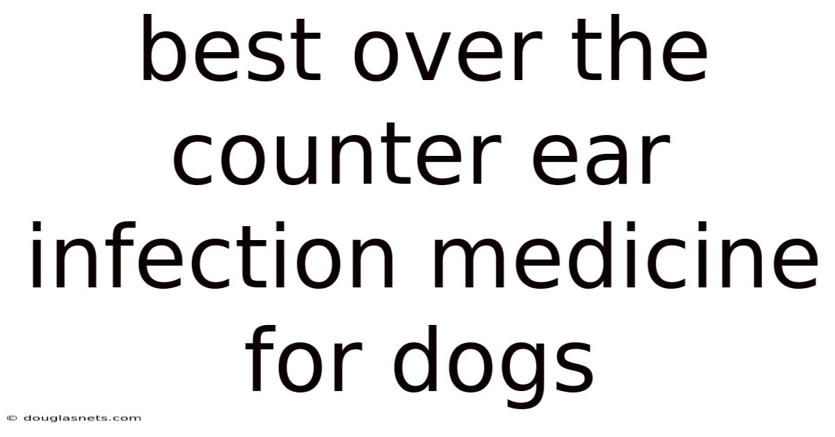 Best Over The Counter Ear Infection Medicine For Dogs