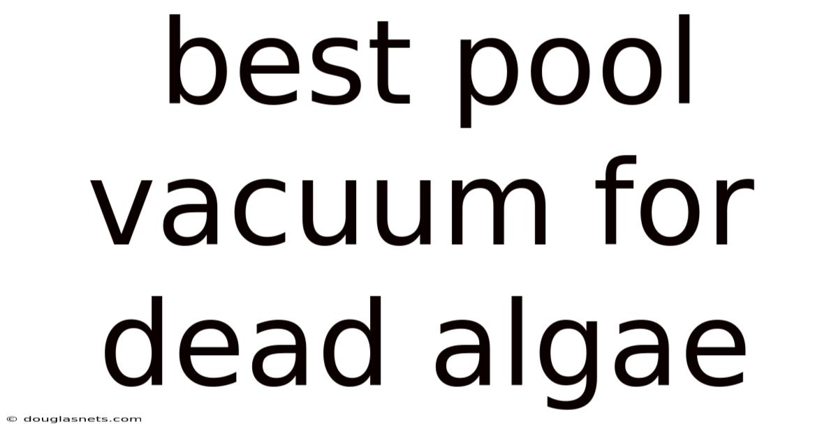 Best Pool Vacuum For Dead Algae