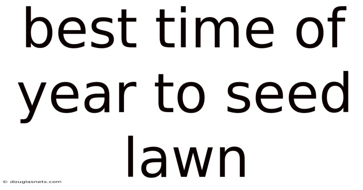 Best Time Of Year To Seed Lawn