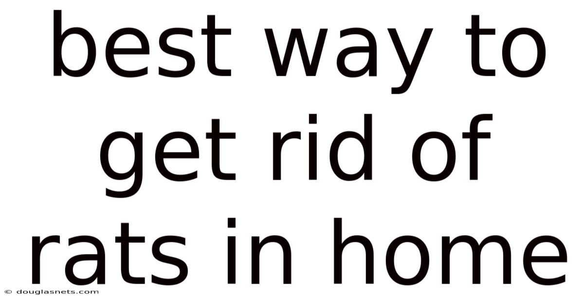 Best Way To Get Rid Of Rats In Home
