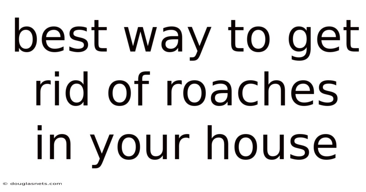 Best Way To Get Rid Of Roaches In Your House