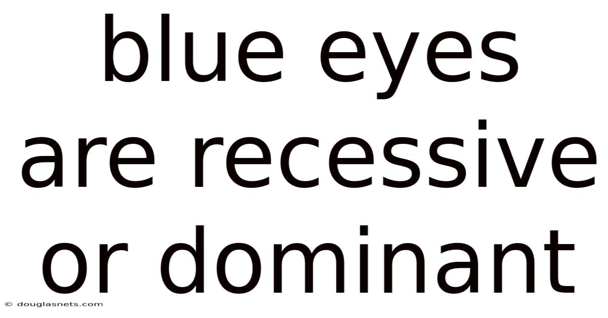 Blue Eyes Are Recessive Or Dominant