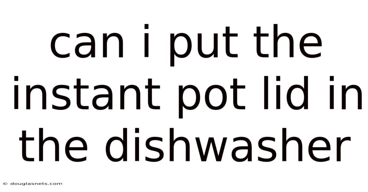 Can I Put The Instant Pot Lid In The Dishwasher