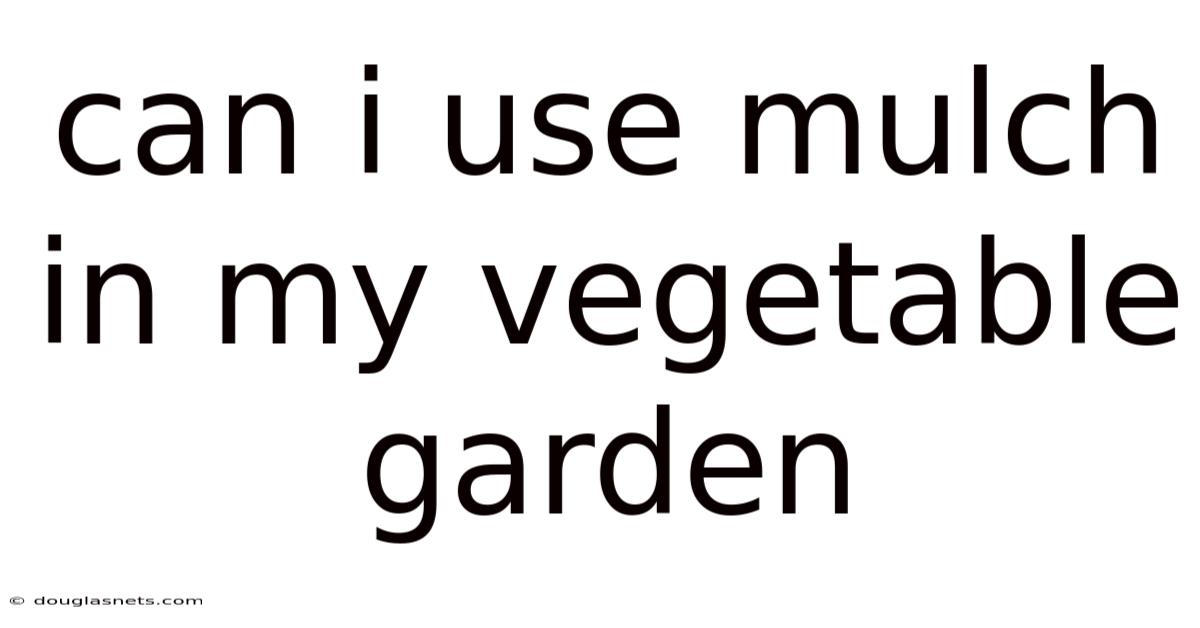 Can I Use Mulch In My Vegetable Garden