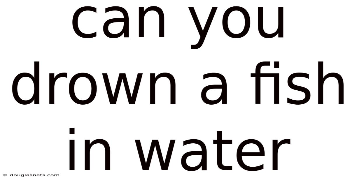 Can You Drown A Fish In Water