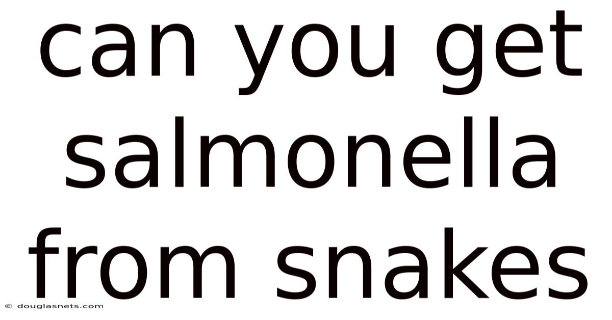Can You Get Salmonella From Snakes