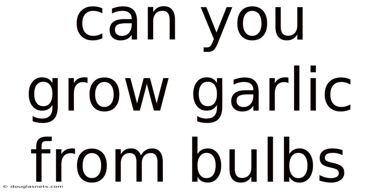 Can You Grow Garlic From Bulbs