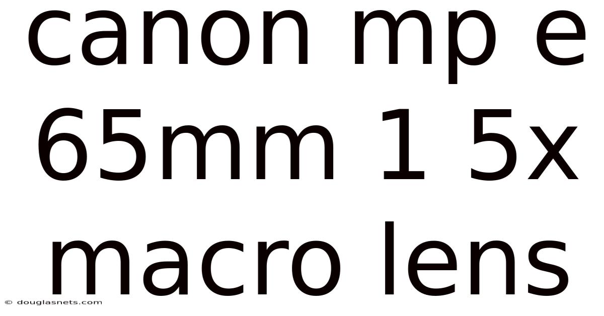 Canon Mp E 65mm 1 5x Macro Lens