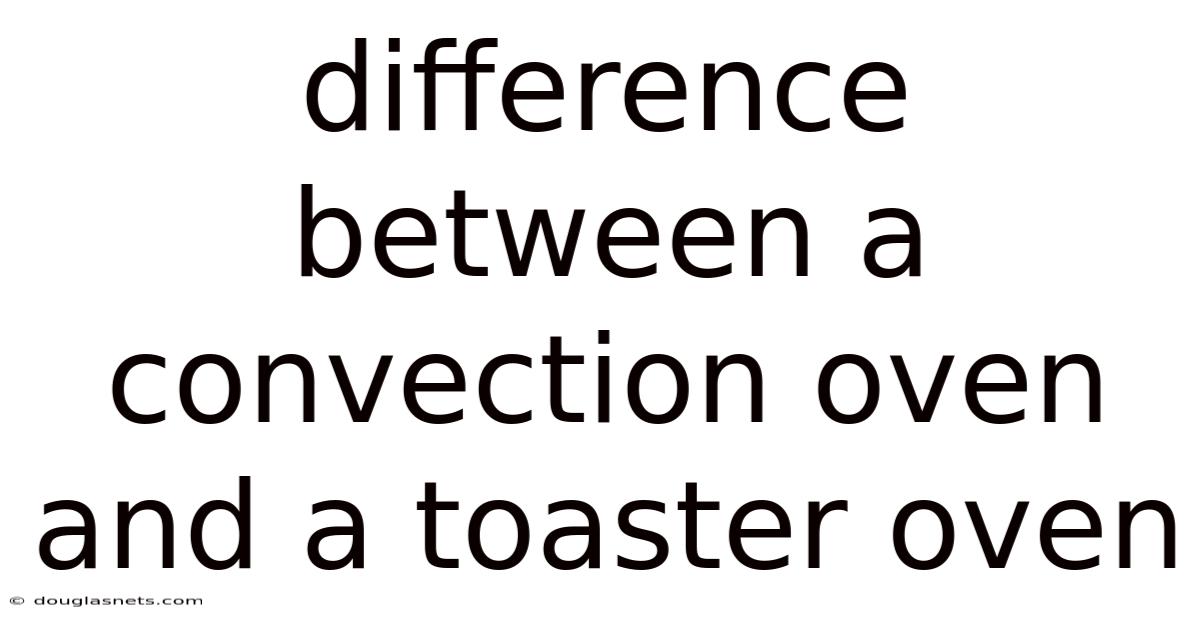 Difference Between A Convection Oven And A Toaster Oven