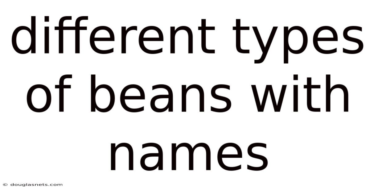 Different Types Of Beans With Names