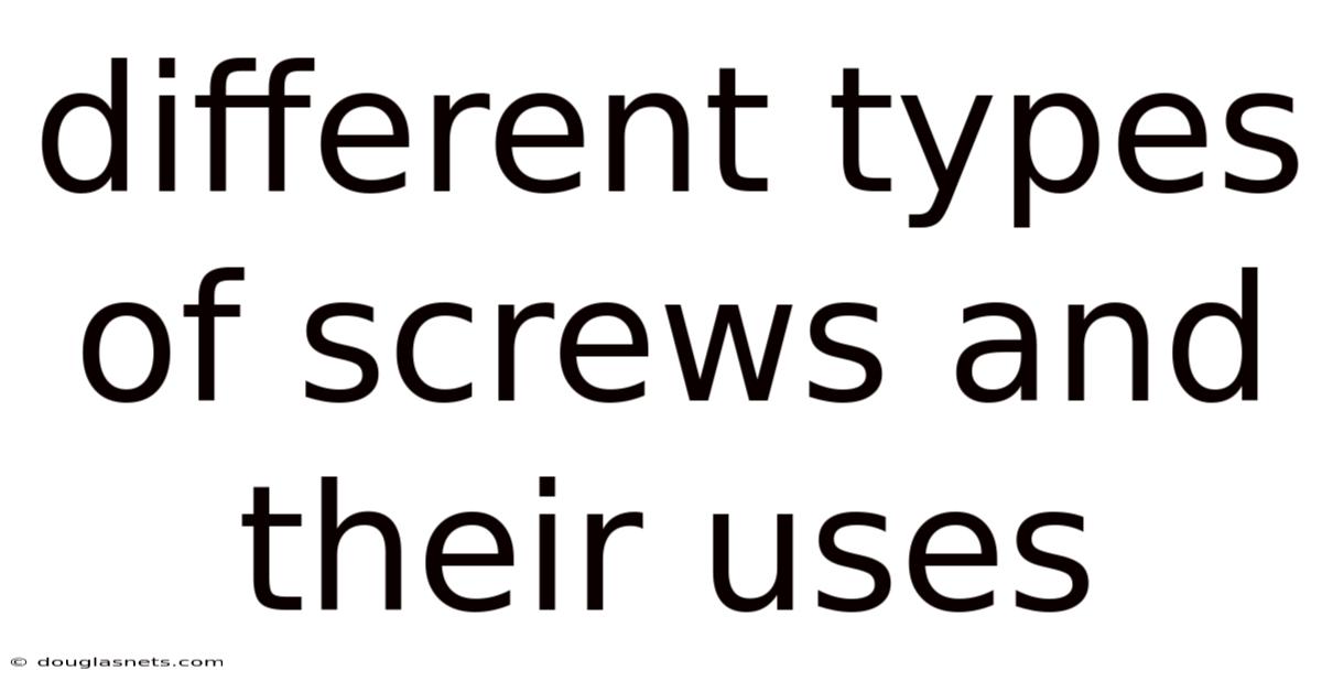 Different Types Of Screws And Their Uses