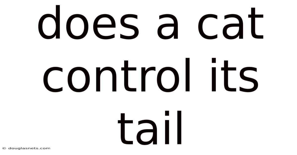 Does A Cat Control Its Tail