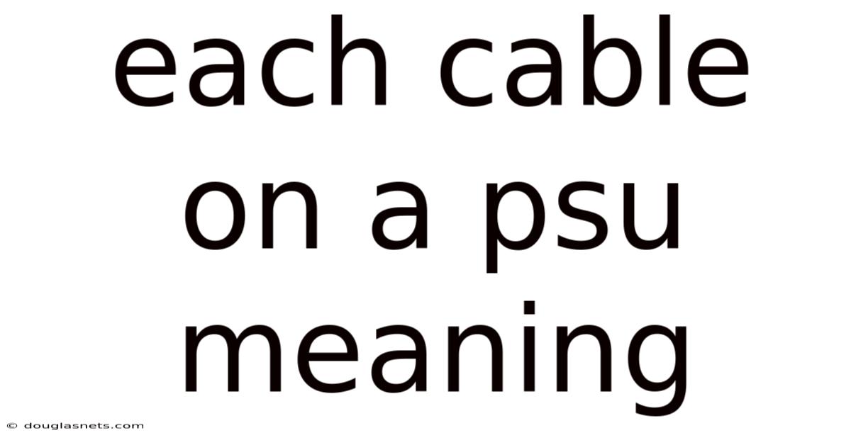 Each Cable On A Psu Meaning