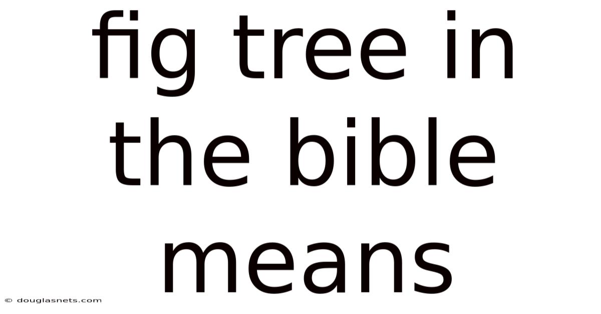 Fig Tree In The Bible Means