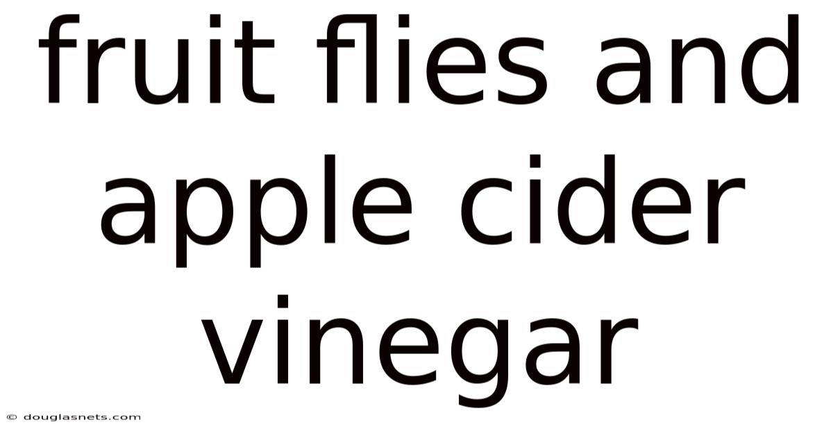 Fruit Flies And Apple Cider Vinegar