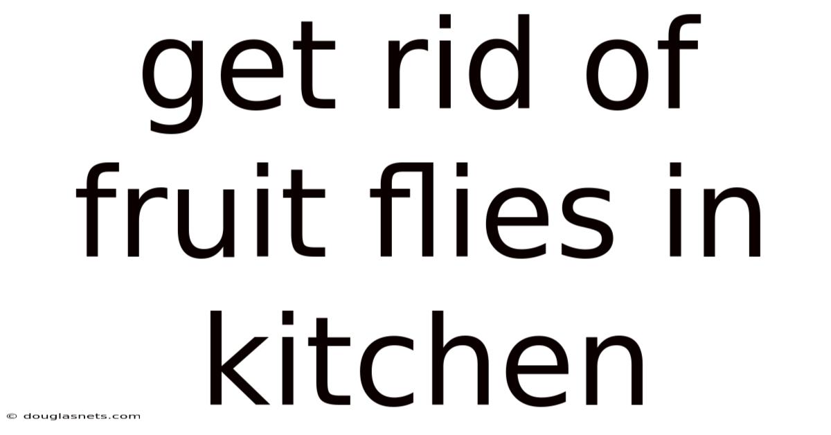 Get Rid Of Fruit Flies In Kitchen