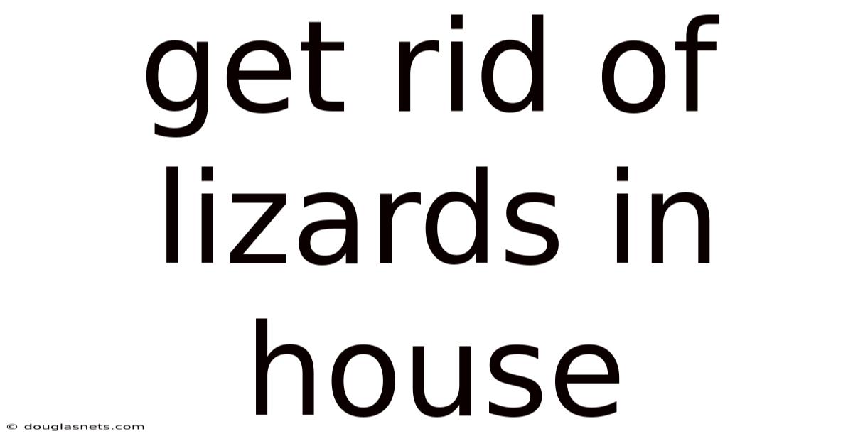 Get Rid Of Lizards In House