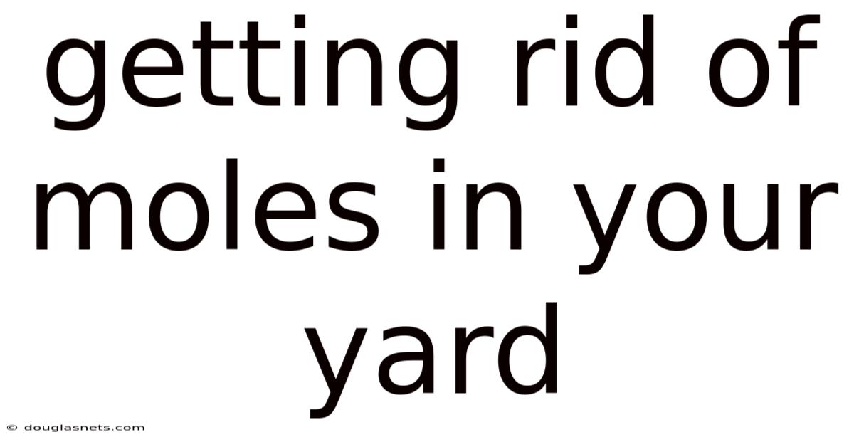 Getting Rid Of Moles In Your Yard