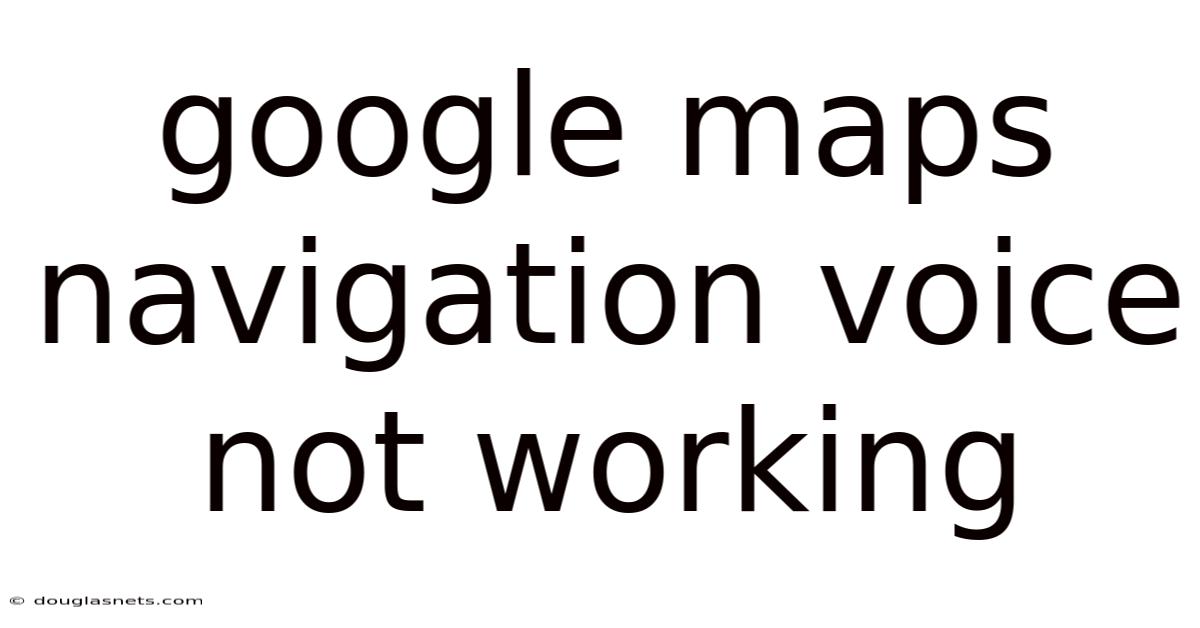 Google Maps Navigation Voice Not Working