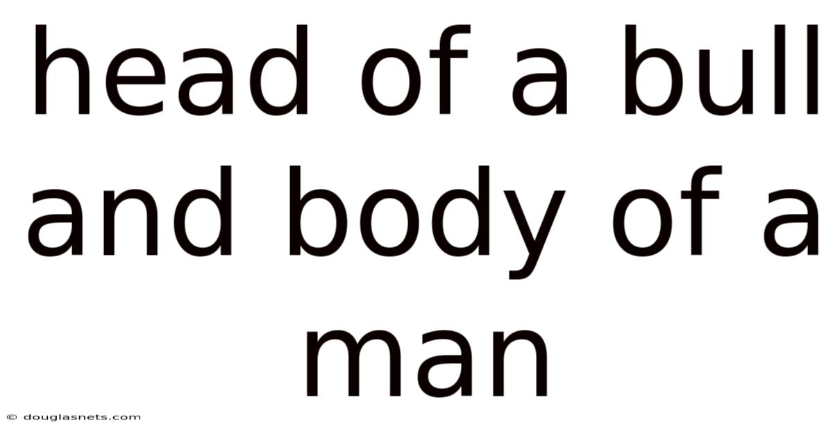 Head Of A Bull And Body Of A Man