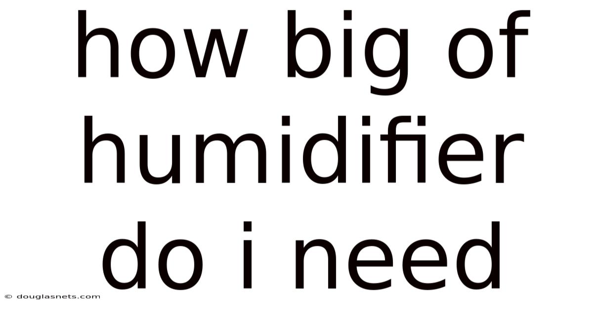 How Big Of Humidifier Do I Need