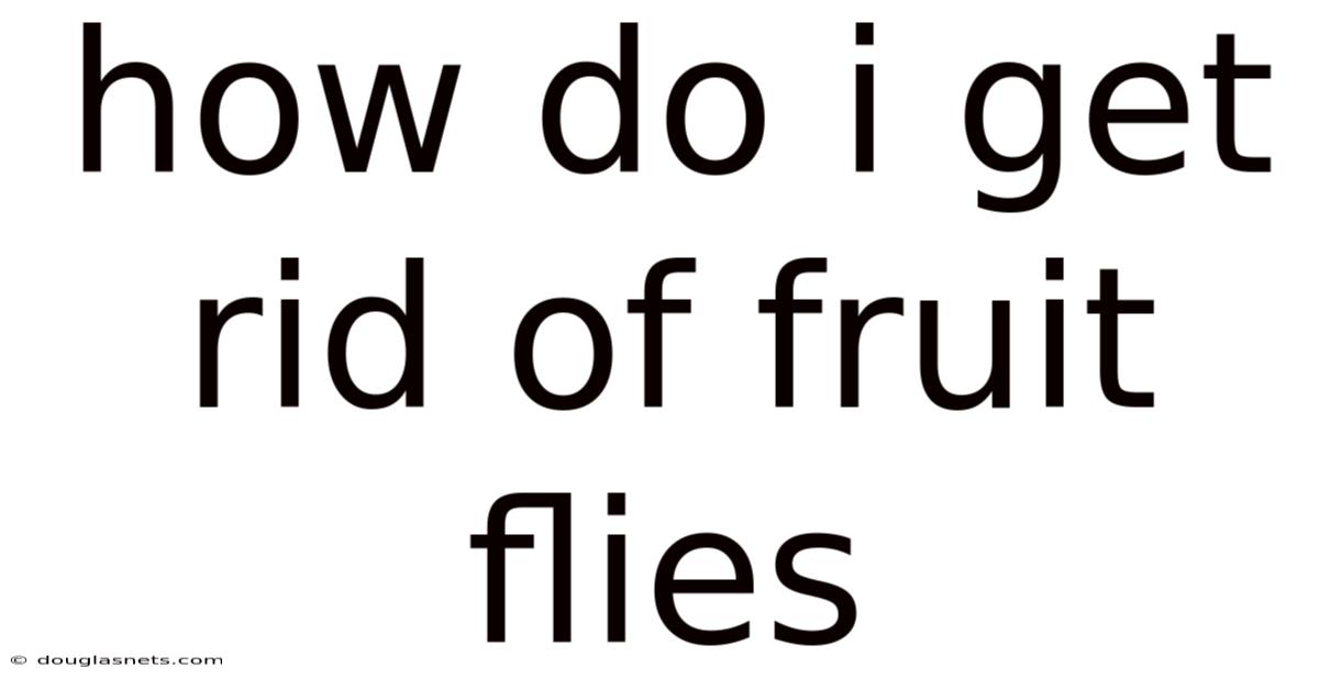 How Do I Get Rid Of Fruit Flies
