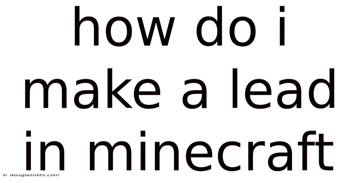 How Do I Make A Lead In Minecraft