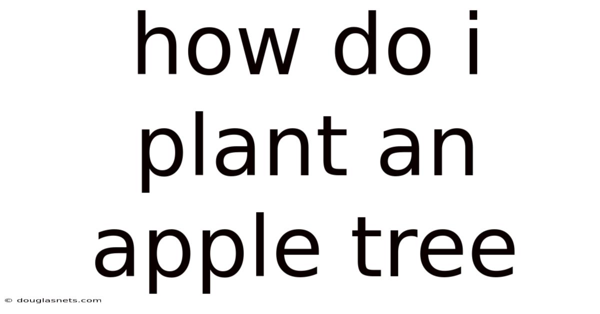 How Do I Plant An Apple Tree