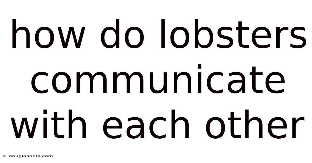 How Do Lobsters Communicate With Each Other