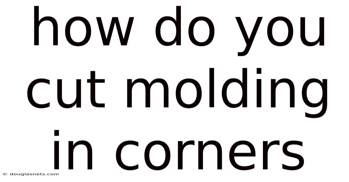 How Do You Cut Molding In Corners