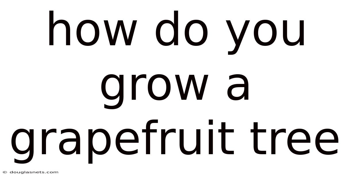 How Do You Grow A Grapefruit Tree
