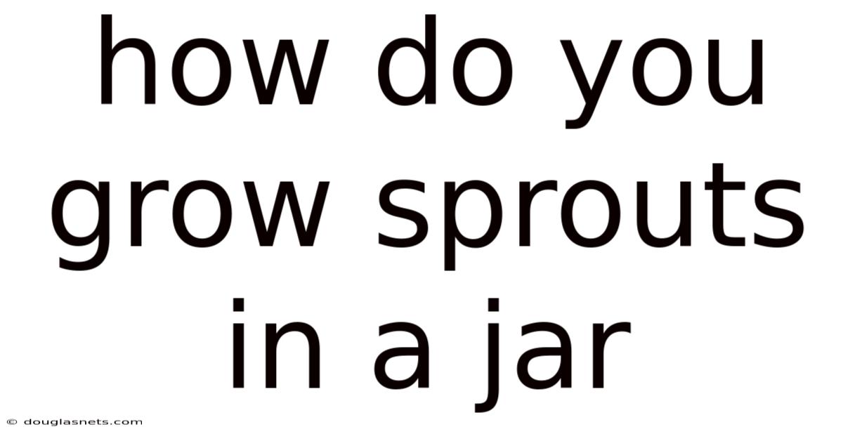 How Do You Grow Sprouts In A Jar