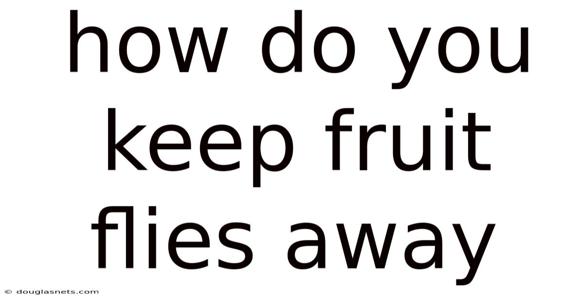 How Do You Keep Fruit Flies Away
