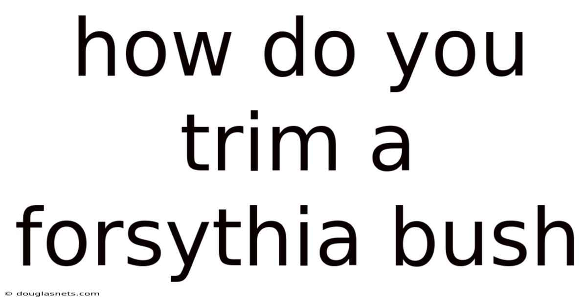 How Do You Trim A Forsythia Bush