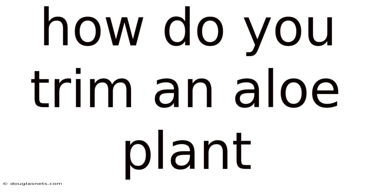How Do You Trim An Aloe Plant