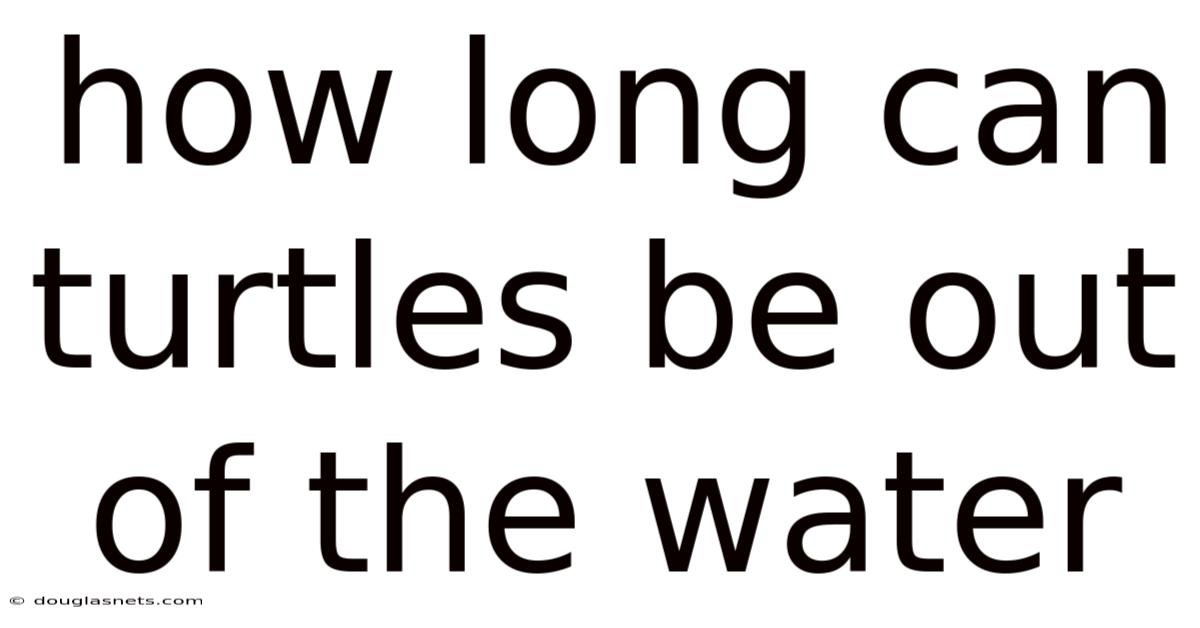 How Long Can Turtles Be Out Of The Water