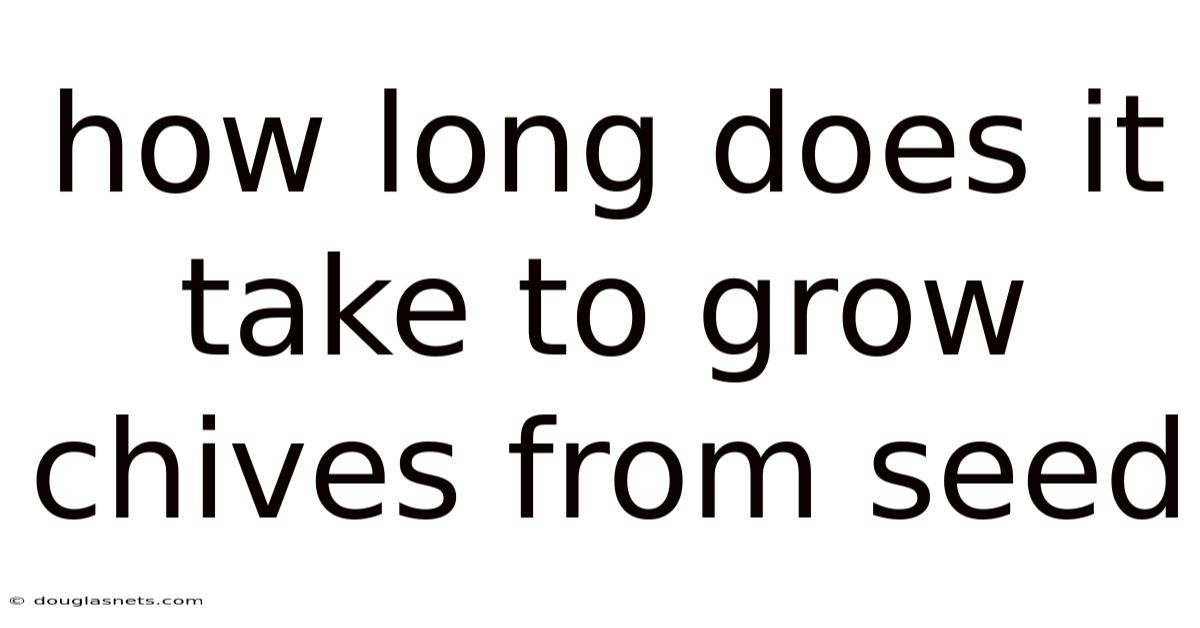 How Long Does It Take To Grow Chives From Seed
