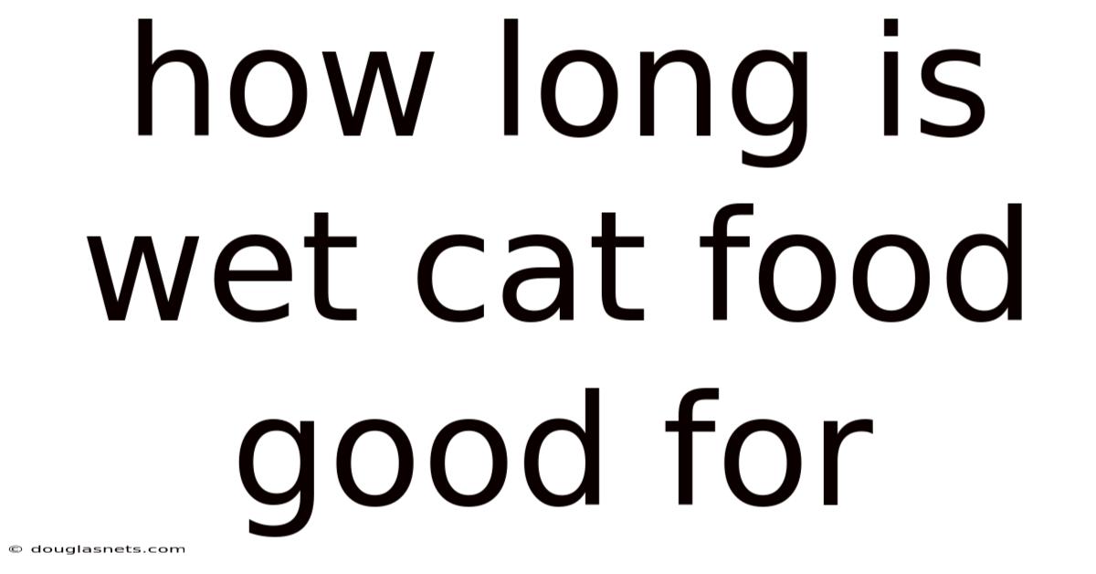 How Long Is Wet Cat Food Good For