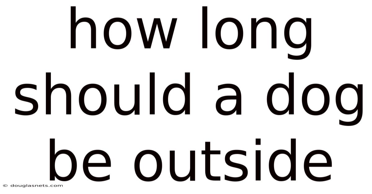 How Long Should A Dog Be Outside