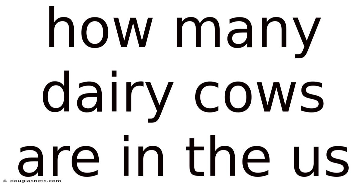 How Many Dairy Cows Are In The Us