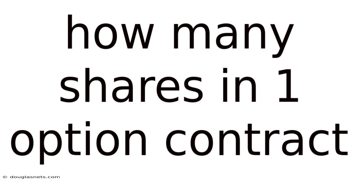 How Many Shares In 1 Option Contract