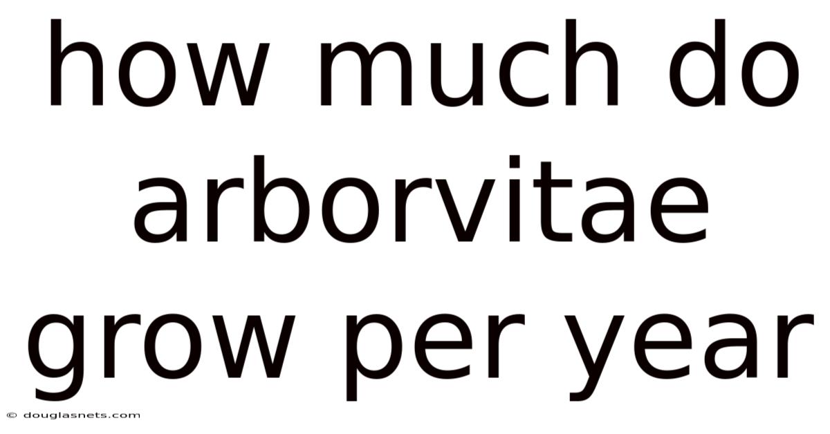 How Much Do Arborvitae Grow Per Year