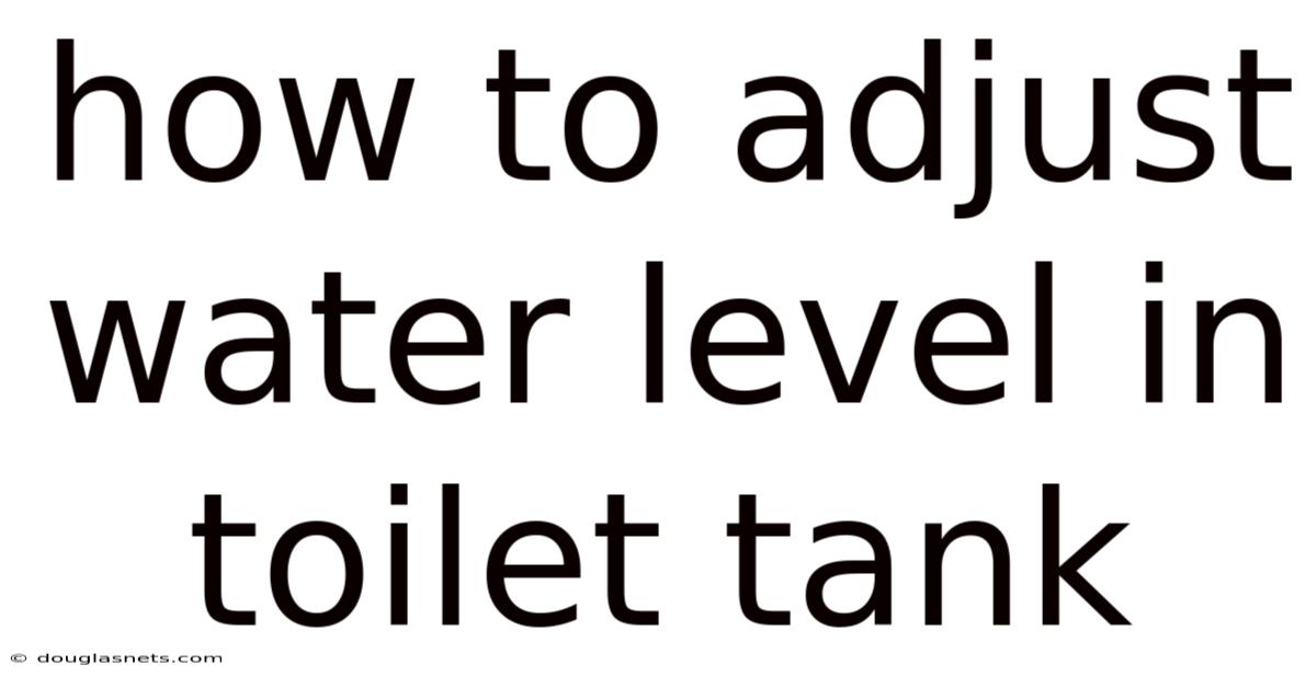 How To Adjust Water Level In Toilet Tank